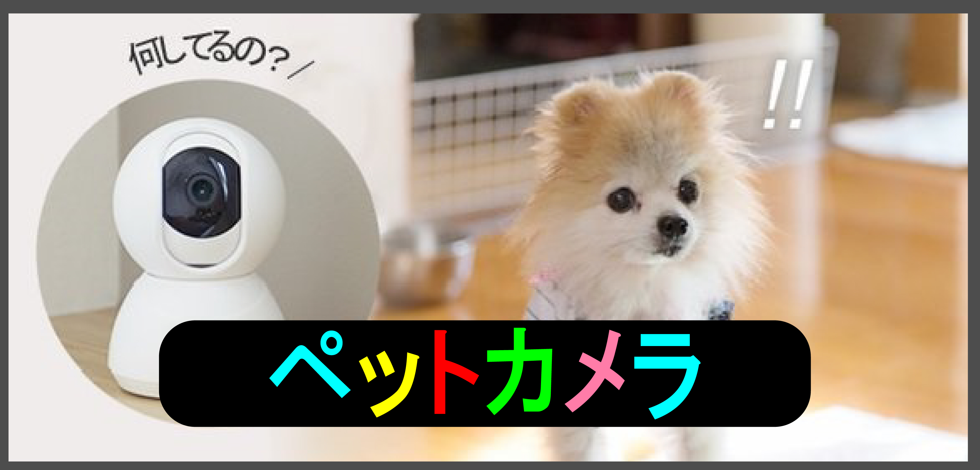 NEWカメラ
